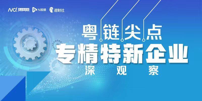 广东省自主创新企业，引领创新的先锋力量