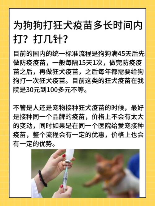 关于狗几个月打狂犬疫苗的探讨