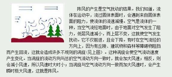 新澳王中王资料大全,专业分析解释落实