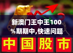 新澳门王中王100%期期中,实证分析解释落实